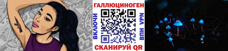 Псилоцибиновые грибы Psilocybe  где можно купить наркотик  Котлас 